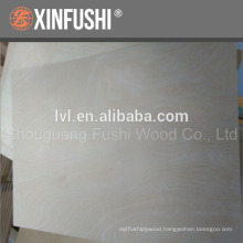 low price birch plywood made in China